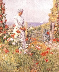 Unknown Image